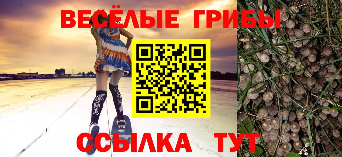 Псилоцибиновые грибы мицелий  Псилоцибиновые грибы ЛСД  Выкса  Вход с VPN 